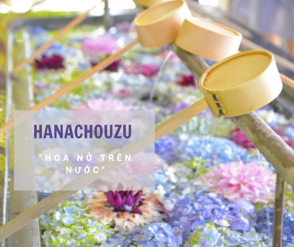 HANACHOUZU (花手水) - HOA NỞ TRÊN NƯỚC, NGHỆ THUẬT TÁI SINH | Trung tâm tiếng  nhật & du học Nhật Bản